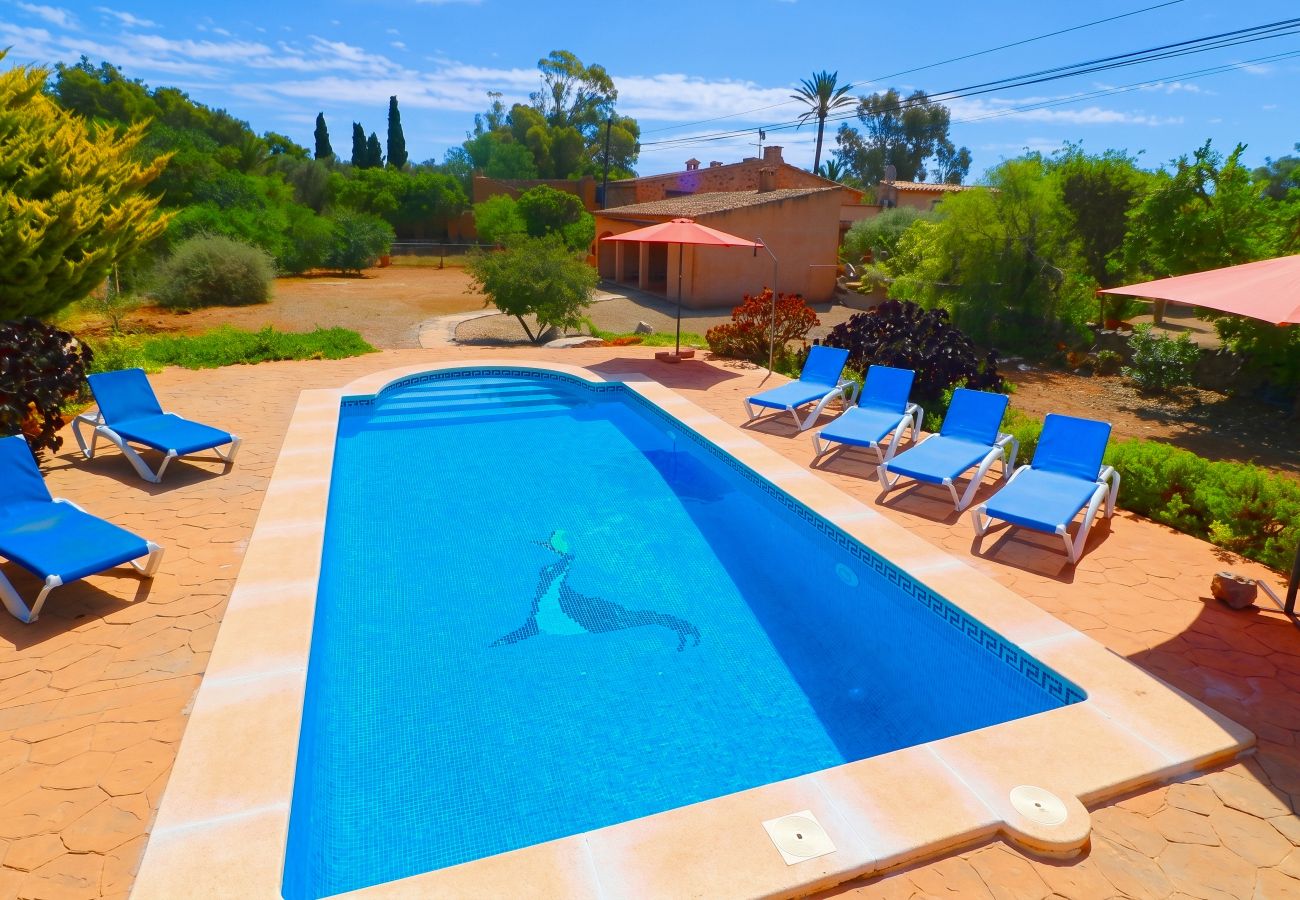 Country house in Es Llombards - 413 Finca Can Cova, ETV1361 by Mallorca Charme
