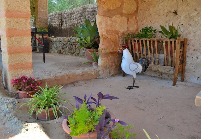 Cottage in Llubi - 005 Finca Can Cortana ETV/7345 by Mallorca Cha Cottage in Llubi - 005 Finca Can Cortana ETV/7345 by Mallorca Cha