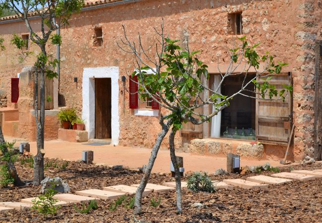 Cottage in Llubi - 005 Finca Can Cortana ETV/7345 by Mallorca Cha Cottage in Llubi - 005 Finca Can Cortana ETV/7345 by Mallorca Cha