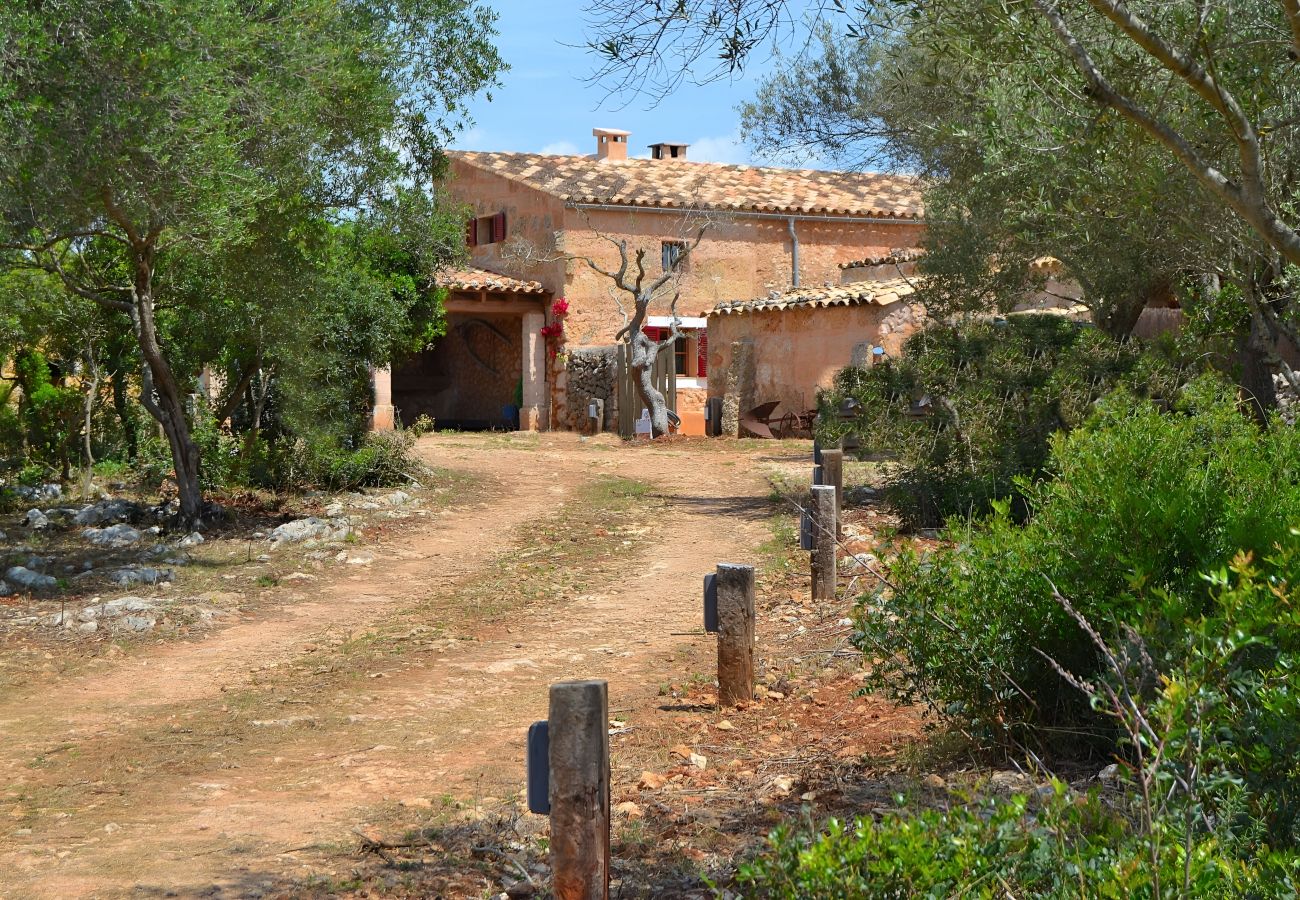 Cottage in Llubi - 005 Finca Can Cortana ETV/7345 by Mallorca Cha Cottage in Llubi - 005 Finca Can Cortana ETV/7345 by Mallorca Cha