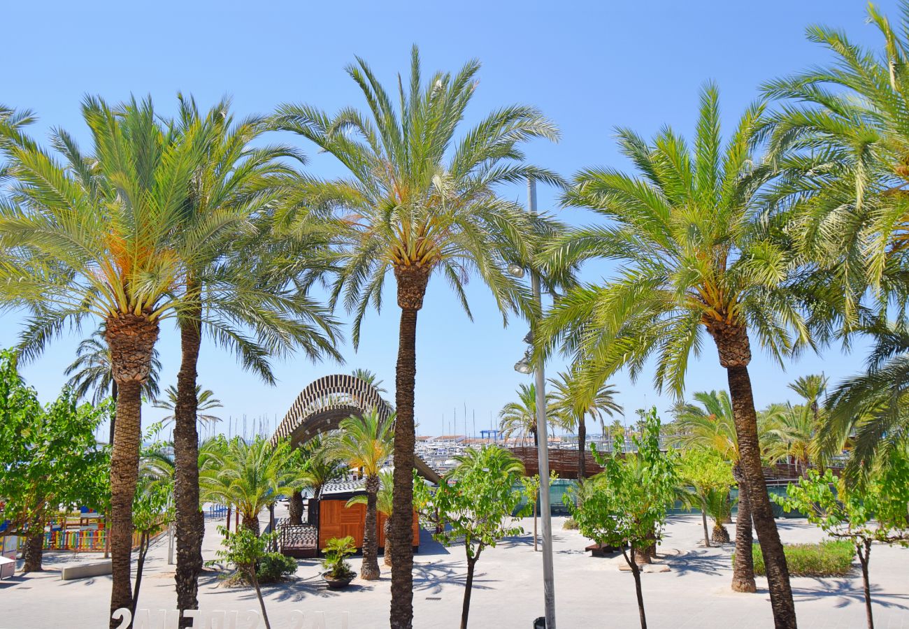 Apartment in Port d´Alcudia - 134 Apartamento Pins-Tugores ETVPL/13155 by Mallor Apartment in Port d´Alcudia - 134 Apartamento Pins-Tugores ETVPL/13155 by Mallor