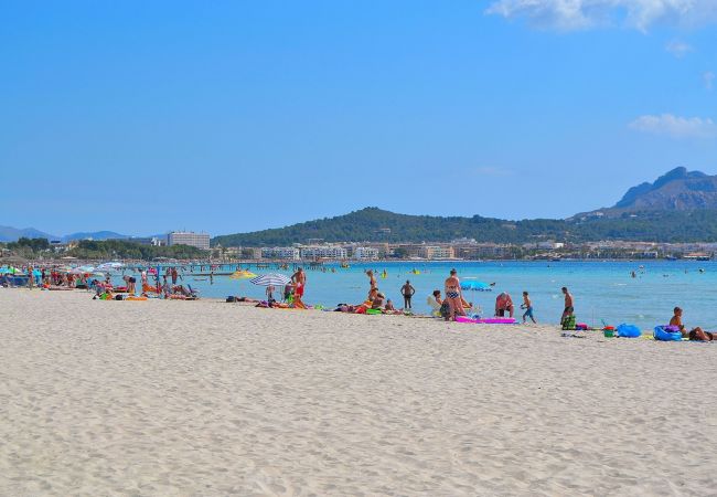 Apartment in Alcudia - 174 Apartamento Fantastic ETVPL/12650 by Mallorca Apartment in Alcudia - 174 Apartamento Fantastic ETVPL/12650 by Mallorca