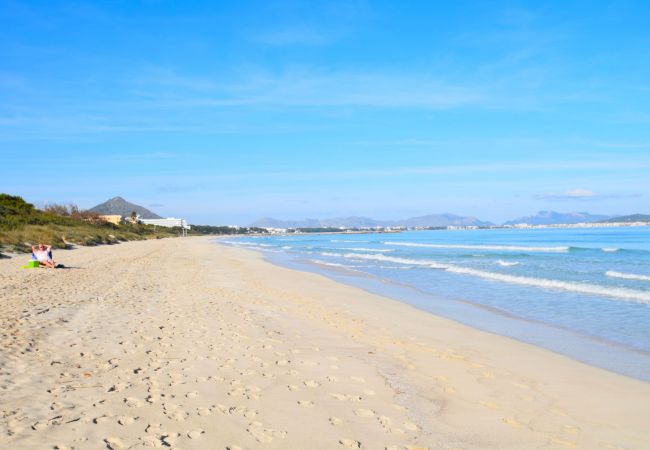 Apartment in Alcudia - 174 Apartamento Fantastic ETVPL/12650 by Mallorca Apartment in Alcudia - 174 Apartamento Fantastic ETVPL/12650 by Mallorca