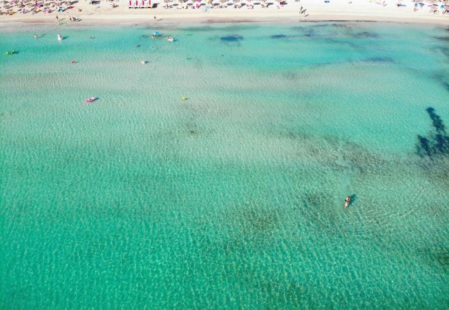 Apartment in Alcudia - 174 Apartamento Fantastic ETVPL/12650 by Mallorca Apartment in Alcudia - 174 Apartamento Fantastic ETVPL/12650 by Mallorca