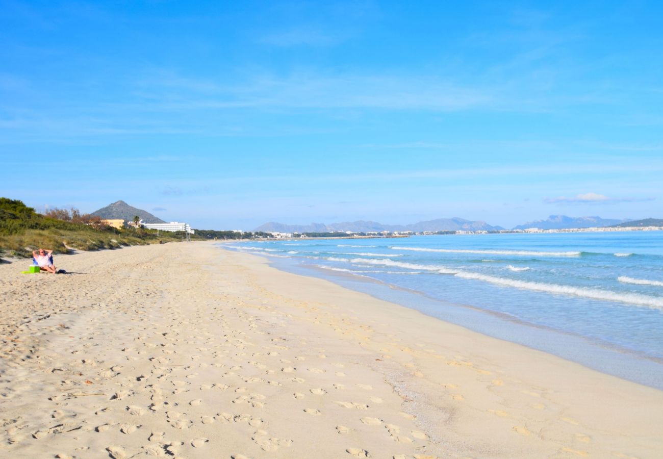 Apartment in Alcudia - 174 Apartamento Fantastic ETVPL/12650 by Mallorca Apartment in Alcudia - 174 Apartamento Fantastic ETVPL/12650 by Mallorca