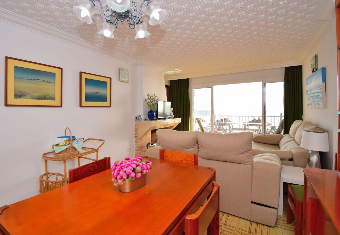 Apartment in Alcudia - 174 Apartamento Fantastic ETVPL/12650 by Mallorca Apartment in Alcudia - 174 Apartamento Fantastic ETVPL/12650 by Mallorca