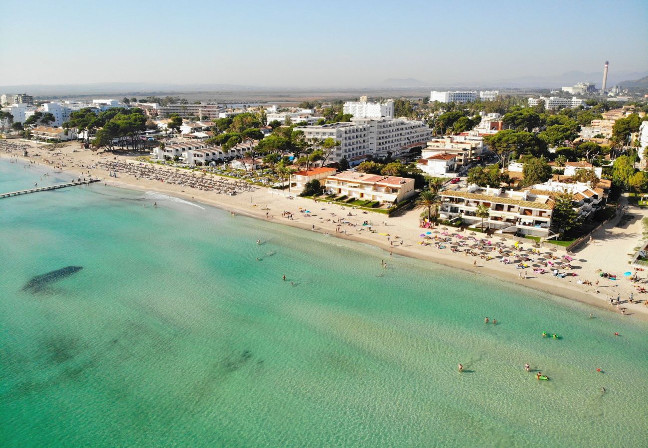 Apartment in Alcudia - 174 Apartamento Fantastic ETVPL/12650 by Mallorca Apartment in Alcudia - 174 Apartamento Fantastic ETVPL/12650 by Mallorca