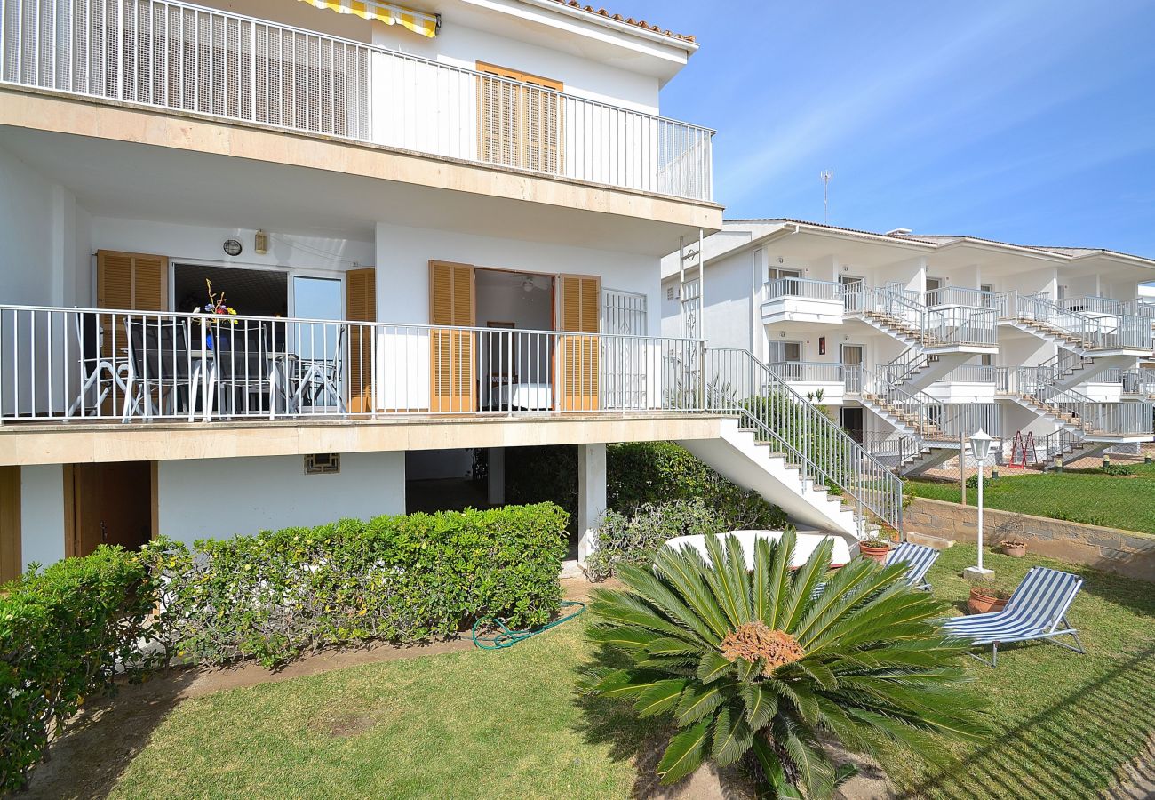 Apartment in Alcudia - 174 Apartamento Fantastic ETVPL/12650 by Mallorca Apartment in Alcudia - 174 Apartamento Fantastic ETVPL/12650 by Mallorca