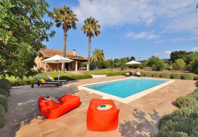 Holiday house, garden, swimming pool, sunbeds, holidays, Majorca Holiday house, garden, swimming pool, sunbeds, holidays, Majorca
