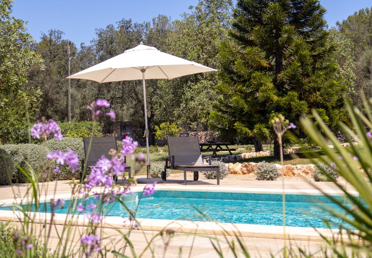 Villa in Muro - 019 Villa Nuria ET/2369 by Mallorca Charme Villa in Muro - 019 Villa Nuria ET/2369 by Mallorca Charme
