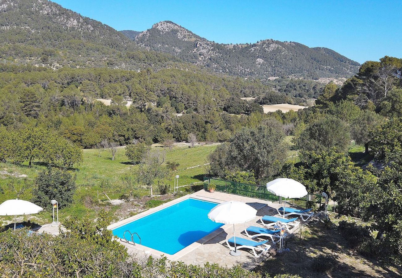 views, nature, holidays, swimming pool, peace and quiet views, nature, holidays, swimming pool, peace and quiet