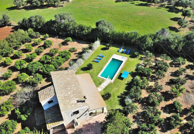 Country house in Muro - 108 Finca Son Morey Tarongers ETV/14340 by Mallorc Country house in Muro - 108 Finca Son Morey Tarongers ETV/14340 by Mallorc