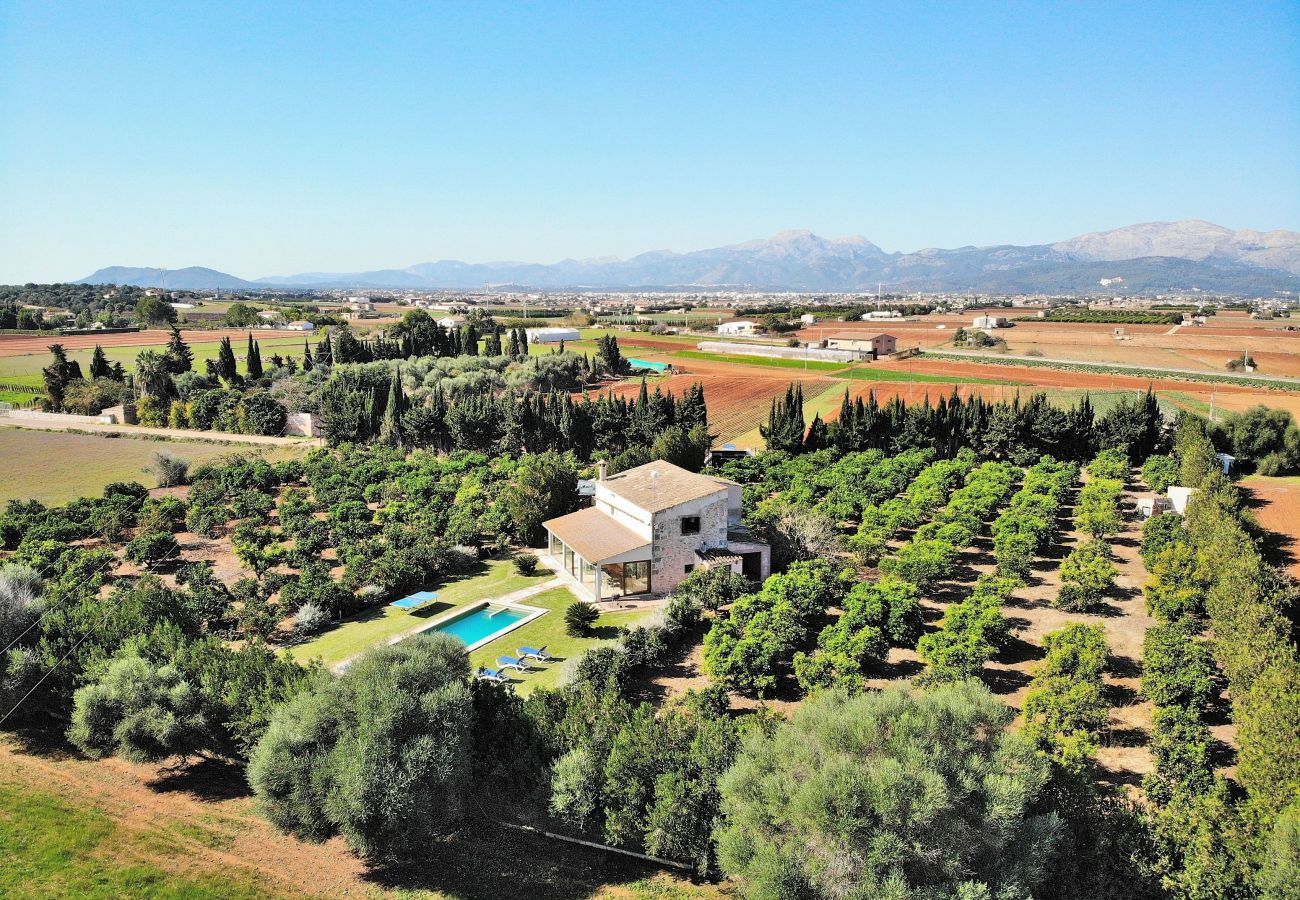 Country house in Muro - 108 Finca Son Morey Tarongers ETV/14340 by Mallorc Country house in Muro - 108 Finca Son Morey Tarongers ETV/14340 by Mallorc