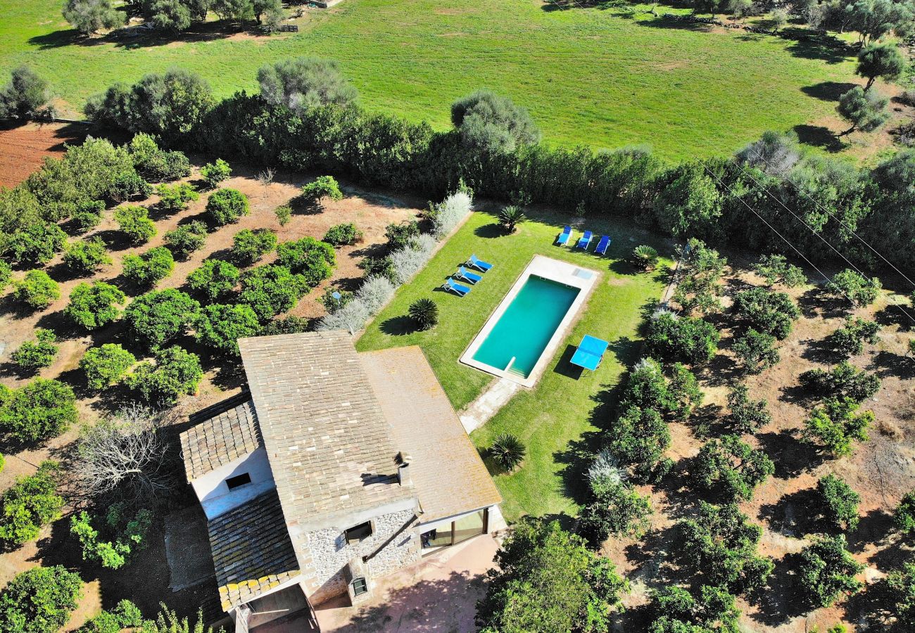 Country house in Muro - 108 Finca Son Morey Tarongers ETV/14340 by Mallorc Country house in Muro - 108 Finca Son Morey Tarongers ETV/14340 by Mallorc