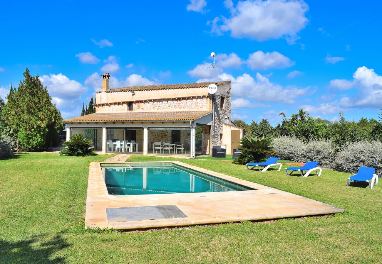 Holidays, swimming pool, sun, privacy Holidays, swimming pool, sun, privacy