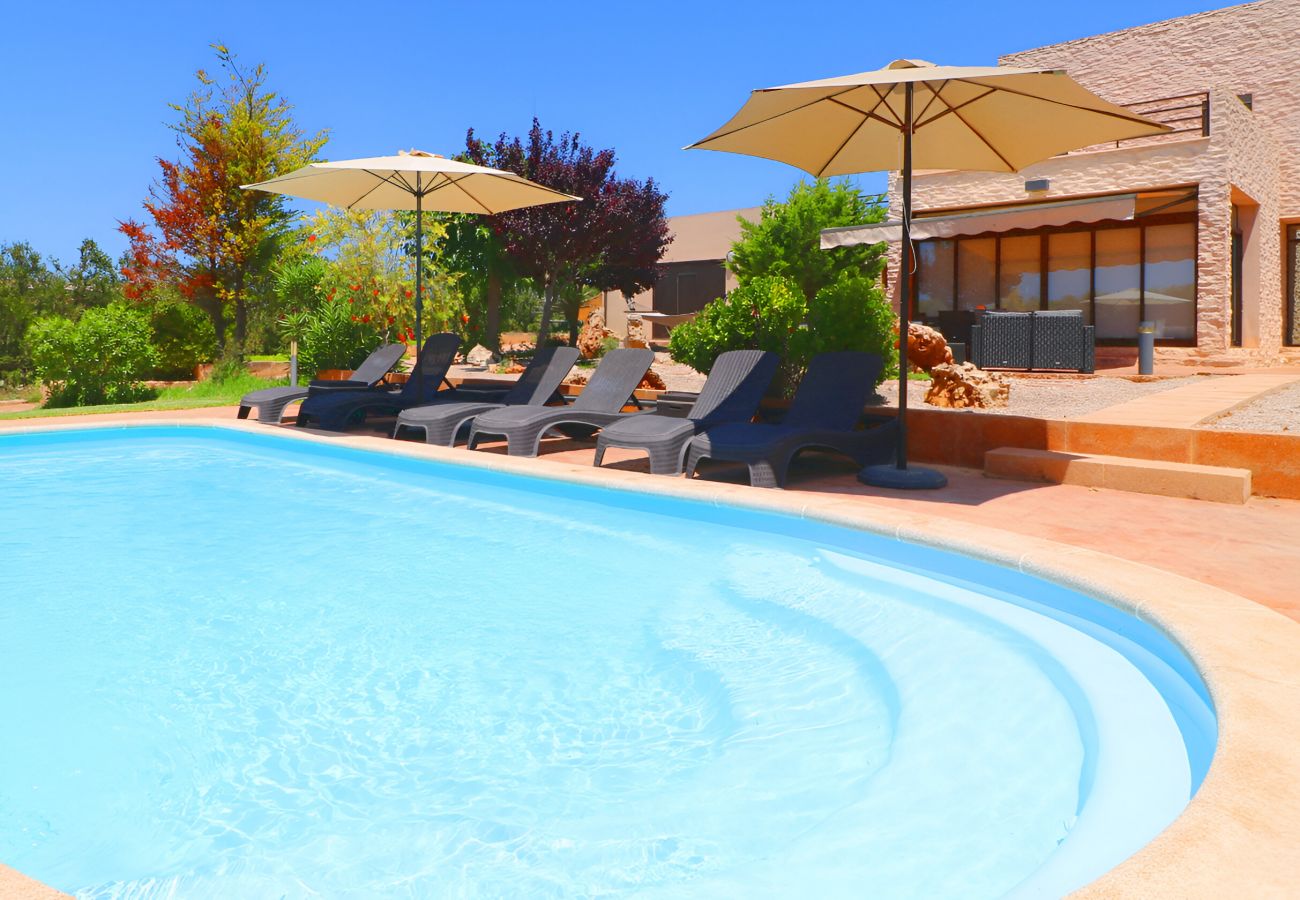 Holidays, swimming pool, garden, sunshine, family Holidays, swimming pool, garden, sunshine, family