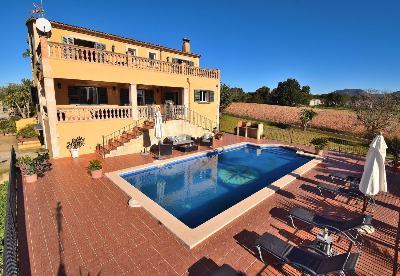 swimming pool, nature, holidays, peace and quiet swimming pool, nature, holidays, peace and quiet