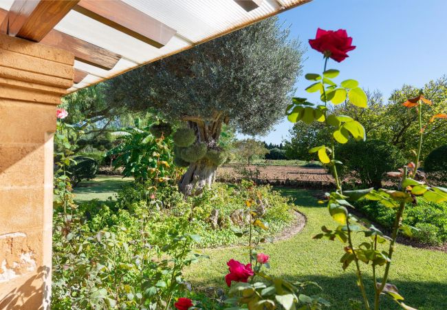 Country house in Alcudia - Sunset Finca Contesas Country house in Alcudia - Sunset Finca Contesas