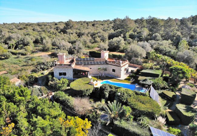finca, holiday home, Majorca, swimming pool, garden, garden finca, holiday home, Majorca, swimming pool, garden, garden