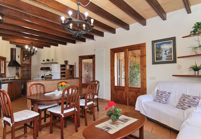 finca, rustic, cosy, swimming pool, Ariany finca, rustic, cosy, swimming pool, Ariany