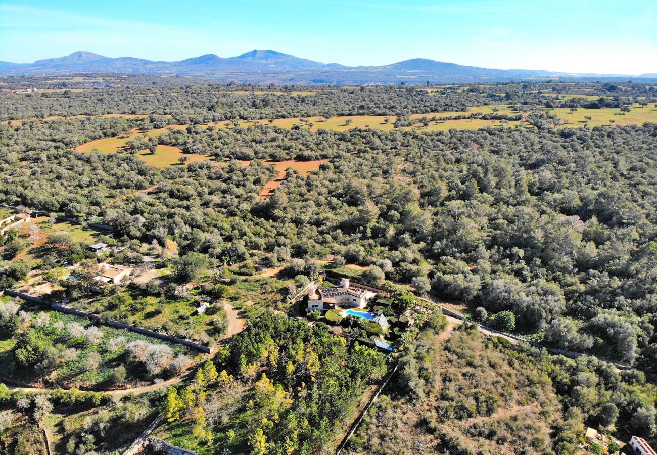 Country house in Ariany - 250 Finca Can Xisco Domatiga ETV/905 by Mallorca C Country house in Ariany - 250 Finca Can Xisco Domatiga ETV/905 by Mallorca C