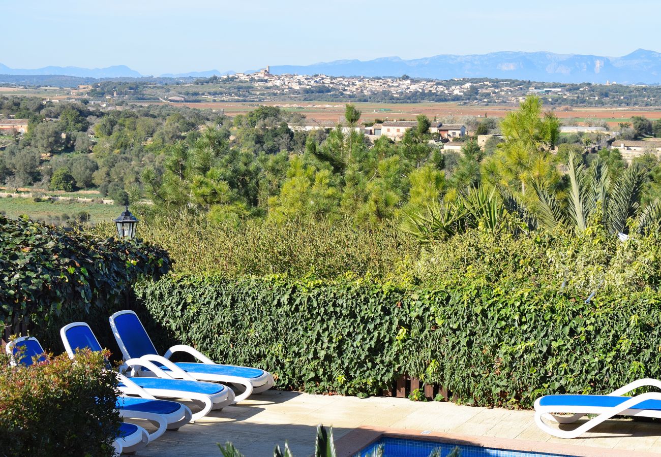 finca, countryside, garden, garden, Majorca, Ariany, Ariany finca, countryside, garden, garden, Majorca, Ariany, Ariany