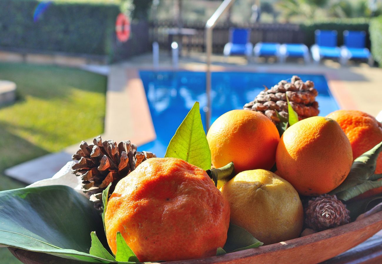 Country house in Ariany - 250 Finca Can Xisco Domatiga ETV/905 by Mallorca C Country house in Ariany - 250 Finca Can Xisco Domatiga ETV/905 by Mallorca C