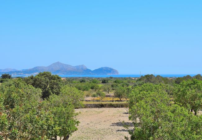 Villa in Santa Margalida - 288 Villa Vernissa ETV/5920 by Mallorca Charme Villa in Santa Margalida - 288 Villa Vernissa ETV/5920 by Mallorca Charme