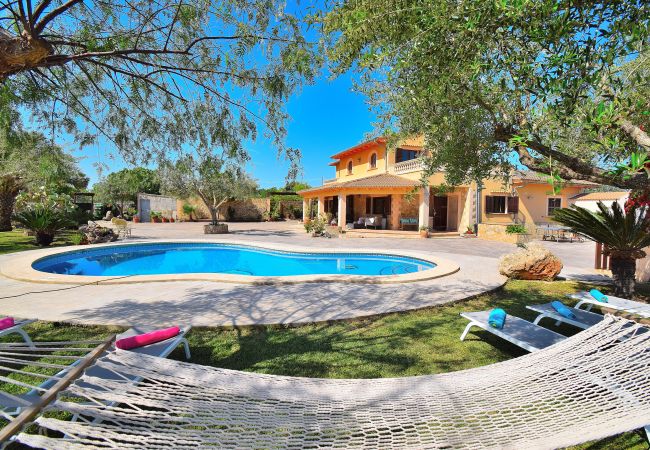 holiday home, swimming pool, Majorca, sunbeds, sunbathing, holidays holiday home, swimming pool, Majorca, sunbeds, sunbathing, holidays