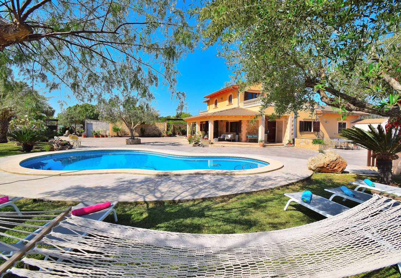 holiday home, swimming pool, Majorca, sunbeds, sunbathing, holidays holiday home, swimming pool, Majorca, sunbeds, sunbathing, holidays