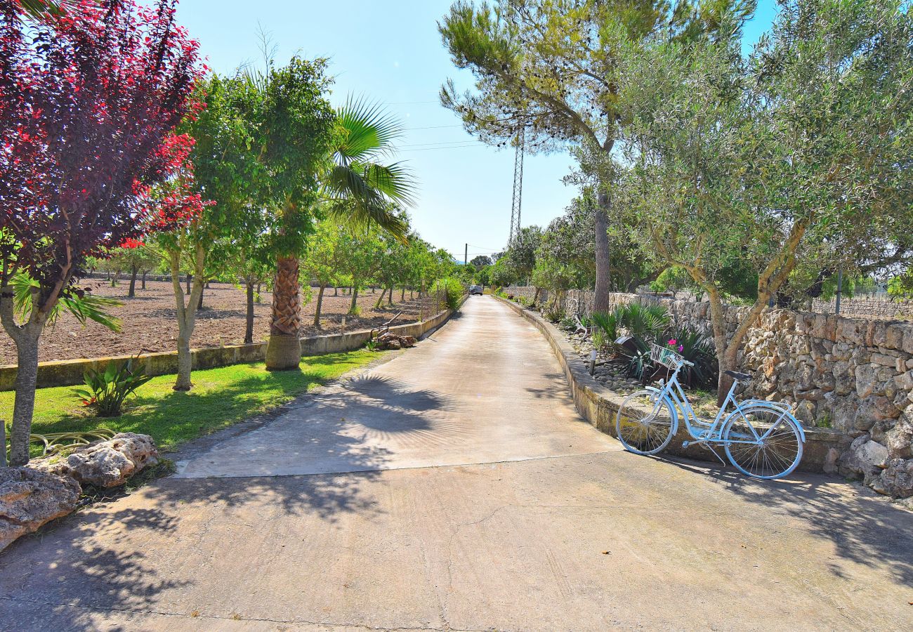 Villa in Santa Margalida - 288 Villa Vernissa ETV/5920 by Mallorca Charme Villa in Santa Margalida - 288 Villa Vernissa ETV/5920 by Mallorca Charme