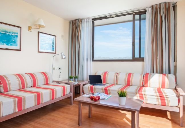 Apartment in Alcudia - Sunset 1 Room Apartment Carlos V Apartment in Alcudia - Sunset 1 Room Apartment Carlos V