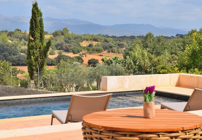 Finca with views, garden and swimming pool Finca with views, garden and swimming pool