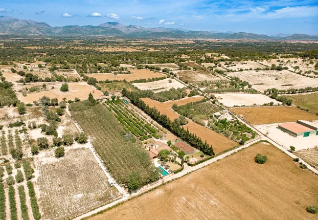 Villa in Llubi - 273 Villa Joy ETV/99 by Mallorca Charme Villa in Llubi - 273 Villa Joy ETV/99 by Mallorca Charme