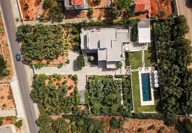 Apartment in Apokoronas - Villa Oleander Chania