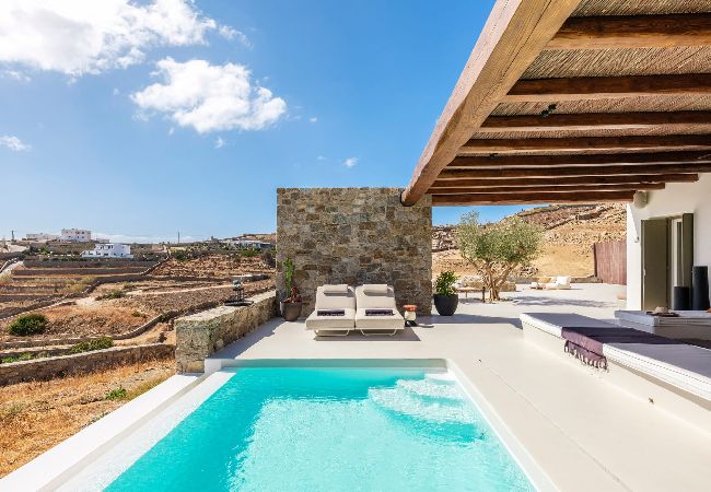  in Mikonos - Greek Villa Selinoe
