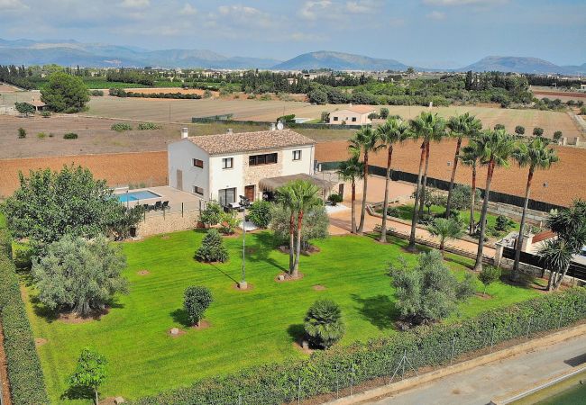 Charmante finca, calme, campagne, location de vacances Charmante finca, calme, campagne, location de vacances