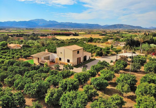 Domaine à Muro - 081 Finca Els Tarongers ETV5766 by Mallorca Charme Domaine à Muro - 081 Finca Els Tarongers ETV5766 by Mallorca Charme