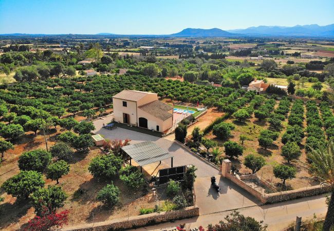 Domaine à Muro - 081 Finca Els Tarongers ETV5766 by Mallorca Charme Domaine à Muro - 081 Finca Els Tarongers ETV5766 by Mallorca Charme