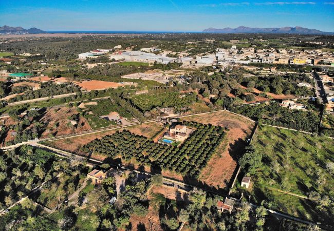Domaine à Muro - 081 Finca Els Tarongers ETV5766 by Mallorca Charme Domaine à Muro - 081 Finca Els Tarongers ETV5766 by Mallorca Charme