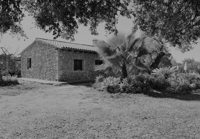 Domaine à Buger - 115 Finca Sa Figuera Blanca ETV/2736 by Mallorca C Domaine à Buger - 115 Finca Sa Figuera Blanca ETV/2736 by Mallorca C
