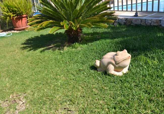 Domaine à Inca - 171 Villa Tramuntana VT/1956 by Mallorca Charm Domaine à Inca - 171 Villa Tramuntana VT/1956 by Mallorca Charm