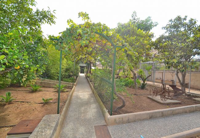 Maison à Muro - 187 Villa Can Bisbe ETV/8522 by Mallorca Charme Maison à Muro - 187 Villa Can Bisbe ETV/8522 by Mallorca Charme