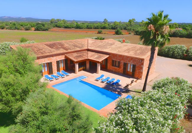 Grande finca avec piscine et jardin Grande finca avec piscine et jardin