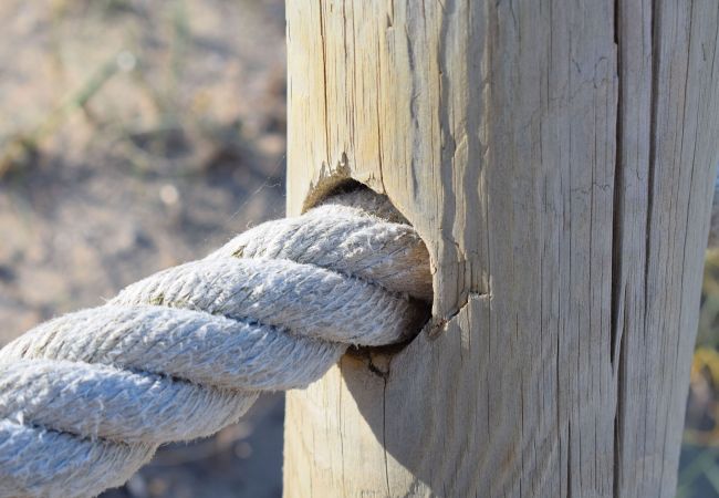 Domaine à Campos - 419 Finca Can Olivaret ETV/2598 by Mallorca Charm Domaine à Campos - 419 Finca Can Olivaret ETV/2598 by Mallorca Charm