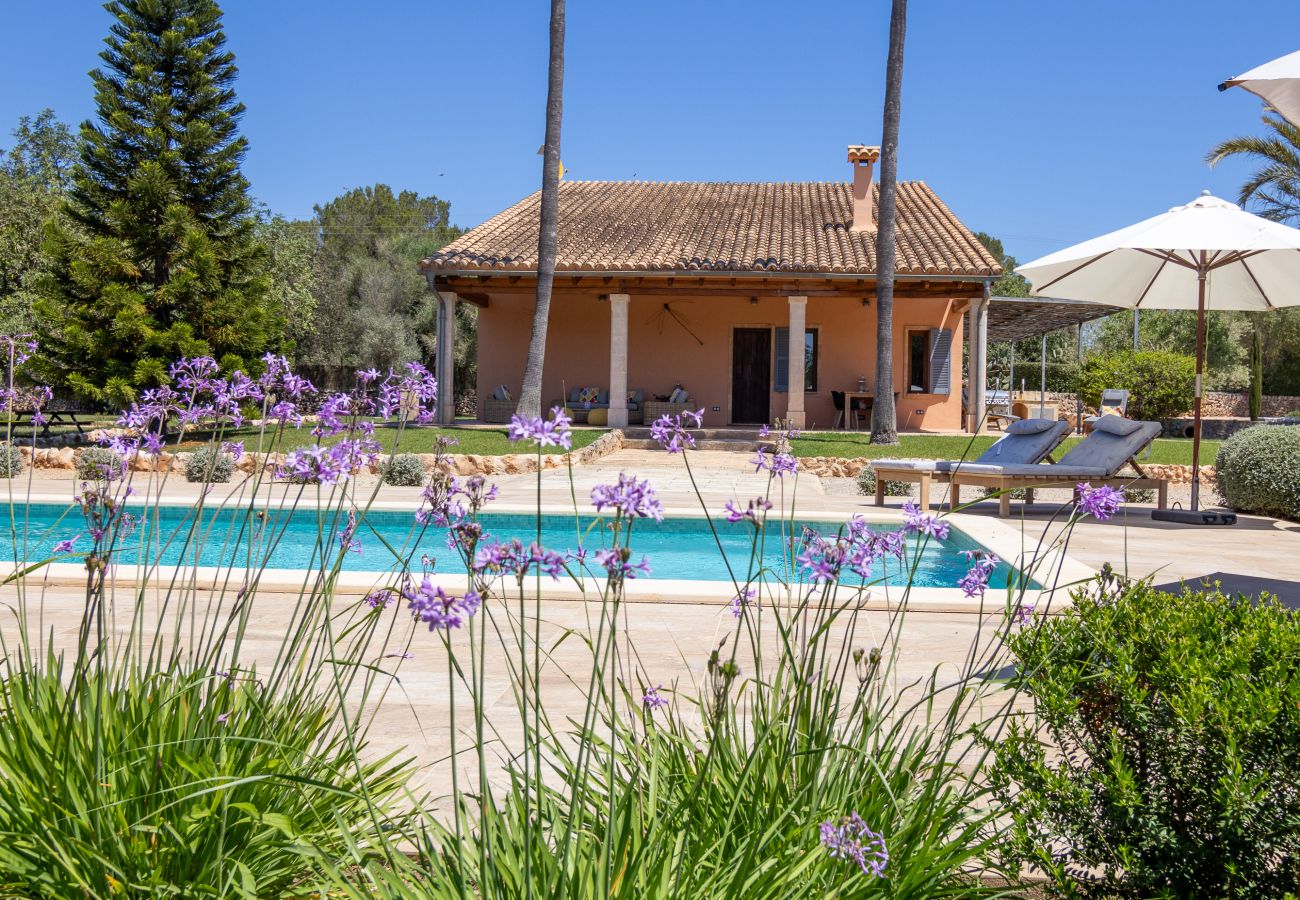Villa à Muro - 019 Villa Nuria ET/2369 by Mallorca Charme Villa à Muro - 019 Villa Nuria ET/2369 by Mallorca Charme