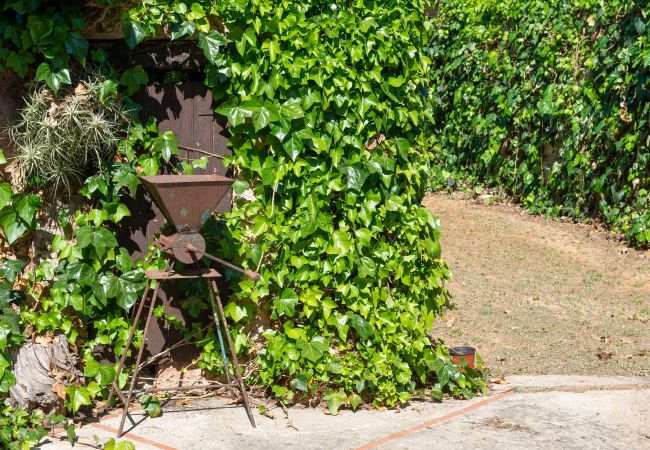 Gîte Rural à Inca - Sunset Ecofinca Can Vey Gîte Rural à Inca - Sunset Ecofinca Can Vey