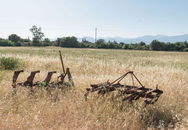 Gîte Rural à Inca - Sunset Ecofinca Can Vey Gîte Rural à Inca - Sunset Ecofinca Can Vey