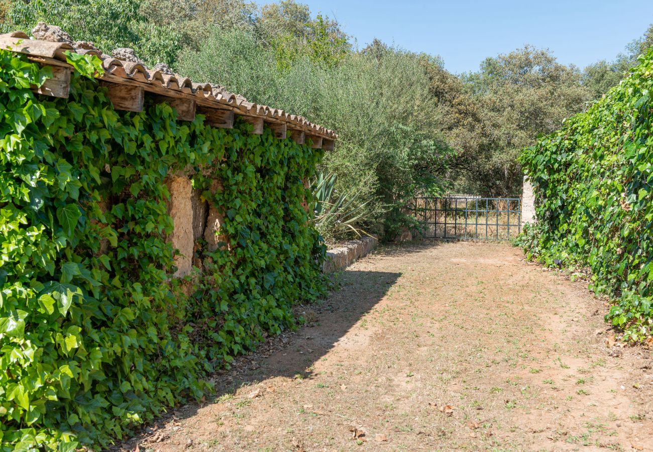 Gîte Rural à Inca - Sunset Ecofinca Can Vey Gîte Rural à Inca - Sunset Ecofinca Can Vey