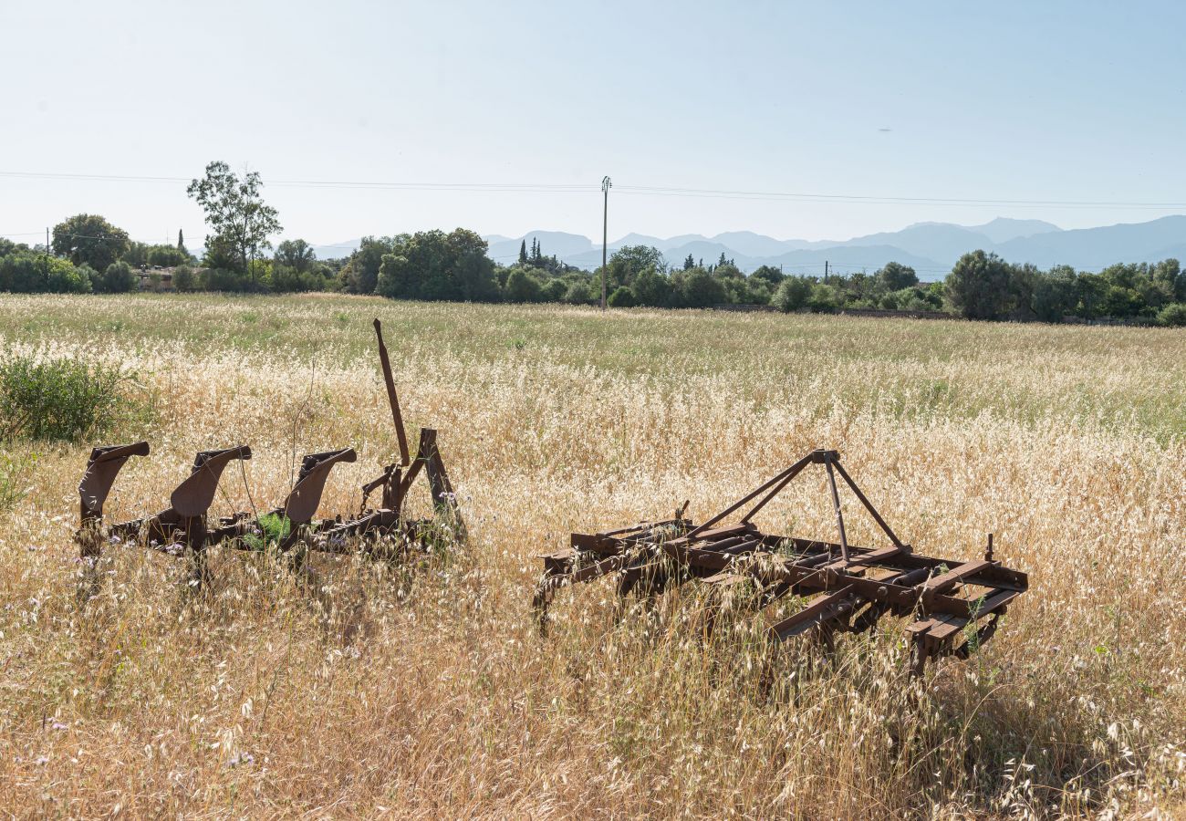 Gîte Rural à Inca - Sunset Ecofinca Can Vey Gîte Rural à Inca - Sunset Ecofinca Can Vey